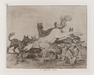 Dobrze się broni, płyta 78 z Klęsk wojennych autorstwa Francisco de Goya