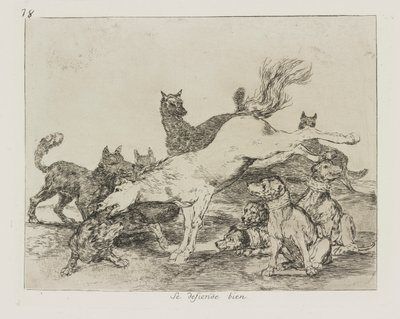 Dobrze się broni. (Dobrze się broni.), pl. 78 z cyklu Katastrofy wojny autorstwa Francisco de Goya