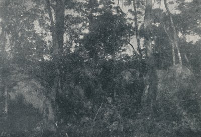 Kabiny indyjskie, 1895 autorstwa Francisco Henszler