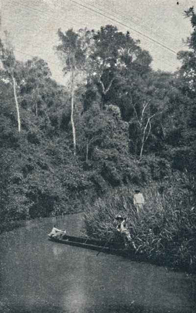 Rzeka S. Anastacio, 1895 autorstwa Francisco Henszler