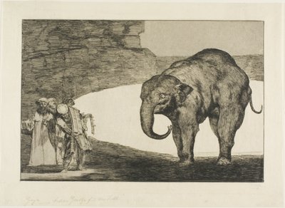 Szaleństwo zwierząt, z Disparates autorstwa Francisco Jose de Goya y Lucientes