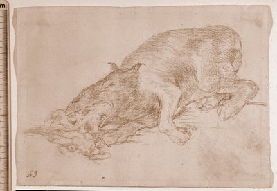 Katastrofy wojny: Dumny potwór! (rysunek przygotowawczy) autorstwa Francisco de Goya
