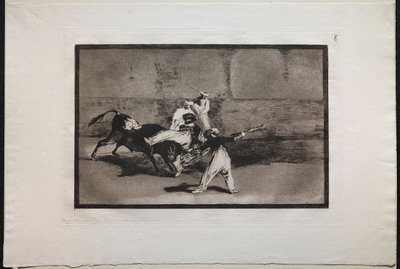 Walki byków: wrzosowisko złapane przez byka na ringu autorstwa Francisco de Goya