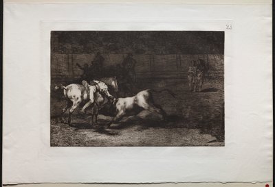 Walki byków: Mariano Ceballos, Indianin Alias, zabija byka ze swojego konia autorstwa Francisco de Goya