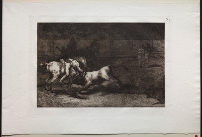 Walki byków: Mariano Ceballos, Indianin Alias, zabija byka ze swojego konia, 1876. autorstwa Francisco de Goya