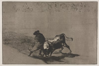 Walki byków: bardzo zręczny uczeń Falces, owinięty w pelerynę, oszukuje byka grą jego ciała autorstwa Francisco de Goya