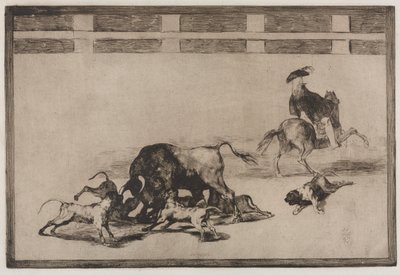 Walki byków: psy gubią byka autorstwa Francisco de Goya