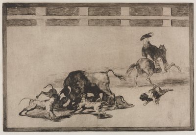 Walki byków: Loose Dogs on the Bull, 1876. autorstwa Francisco de Goya
