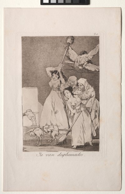 Caprichos: tam idą oskubane (tj. z runa) autorstwa Francisco de Goya