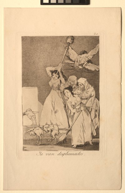 Caprichos: There Go Plucked, czyli z runa. autorstwa Francisco de Goya