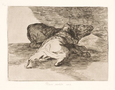 Coś z tego wyciąga! (40) autorstwa Francisco de Goya