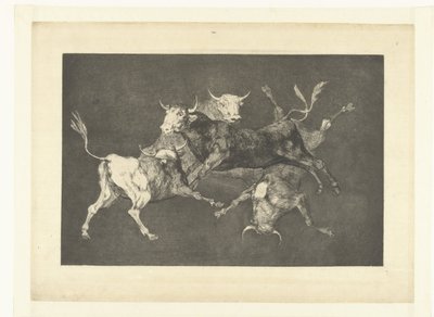 Głupota Małych Byków Odmienne de tontos Los Disparates (The Follies) (tytuł serii) Los Proverbios (Przysłowia) (tytuł serii) autorstwa Francisco de Goya