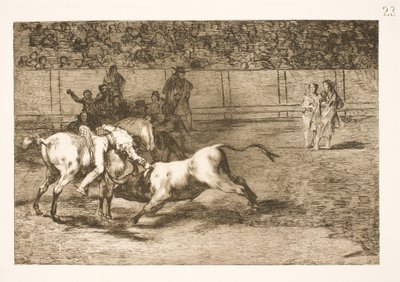 Maria Ceballas, zwana też Indianką, zabija byka ze swojego konia autorstwa Francisco de Goya
