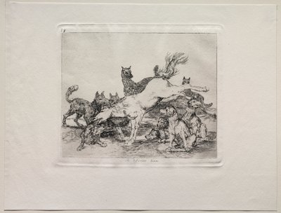 Okropności wojny: dobrze się broni autorstwa Francisco de Goya