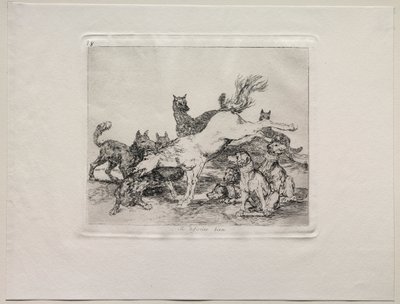 Okropności wojny: dobrze się broni. autorstwa Francisco de Goya