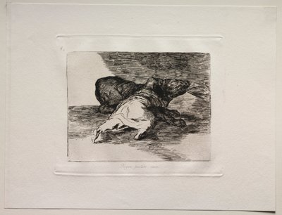 Okropności wojny: Coś z tego wyciąga... autorstwa Francisco de Goya