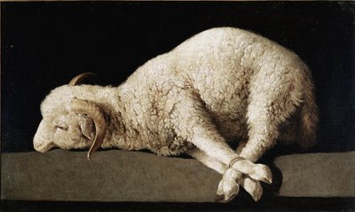 Agnus Dei autorstwa Francisco de Zurbaran