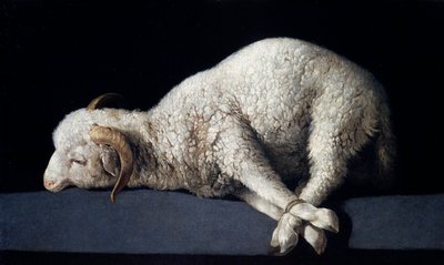 Agnus Dei autorstwa Francisco de Zurbaran