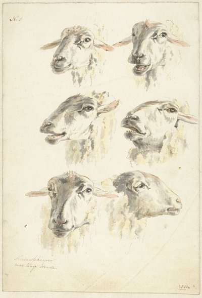 Arkusz do nauki z sześcioma głowami owiec autorstwa Franciscus Andreas Milatz (attributed to)