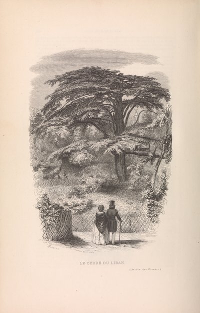 Ogród Botaniczny, Opisy i maniery ssaków, 1842. autorstwa Francois Boitard