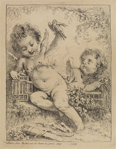 Turkawka w klatce autorstwa François Boucher