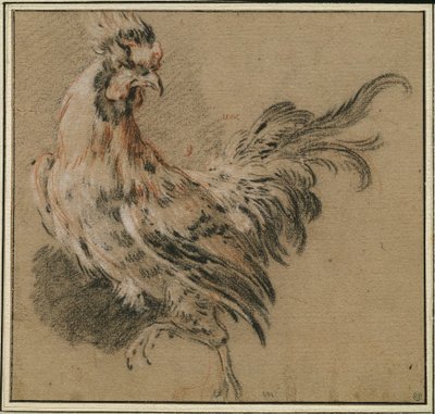 Studium koguta autorstwa François Boucher