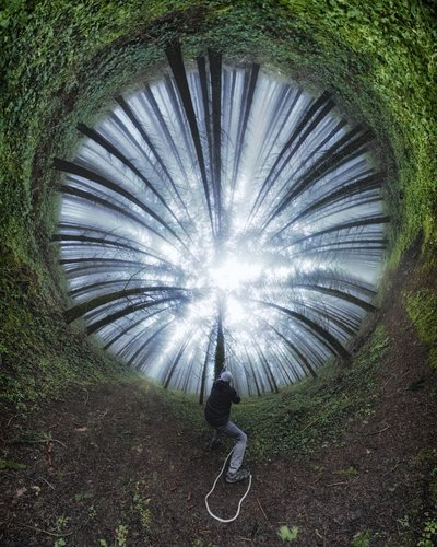 Spiralna leśna ścieżka autorstwa Francois Casanova