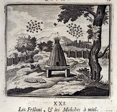 Szerszenie i muchy miodowe. Bajki Jean de La Fontaine (1621-95). Ilustracja Francois Chauveau (1613-1676). Wydanie z 1728 r. autorstwa Francois Chauveau