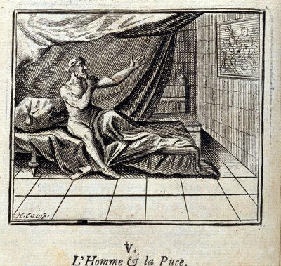Człowiek i pchła. Bajki Jean de La Fontaine (1621-95). Ilustracja Francois Chauveau (1613-1676). Wydanie z 1728 r. autorstwa Francois Chauveau
