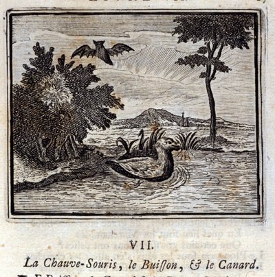 Nietoperz, krzak i kaczka. Bajki Jean de La Fontaine (1621-95). Ilustracja François Chauveau (1613-1676). Wydanie z 1728 r. autorstwa Francois Chauveau