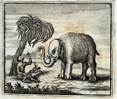 Słoń i Małpa Jowisza. Bajki Jean de La Fontaine (1621-95). Ilustracja François Chauveau (1613-1676). Wydanie z 1728 r. autorstwa Francois Chauveau