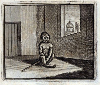 Małpa. Bajki Jean de La Fontaine (1621-95). Ilustracja François Chauveau (1613-1676). Wydanie z 1728 r. autorstwa Francois Chauveau