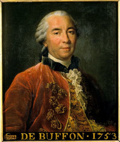 Portret Georgesa Louisa Leclerca, hrabiego Buffon, zarządcy ogrodów królewskich, przyrodnika i pisarza (1707-1788). Obraz według oryginału Francois Hubert Drouais (1727-1775). Wym. 0,63 x 0,52. Wersal. Muzeum Zamkowe autorstwa Francois Hubert Drouais