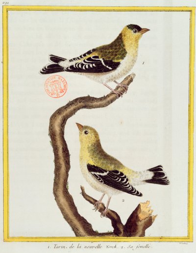 Plac zabaw, Markeaton Park, Derby, autorstwa Francois Nicolas Martinet