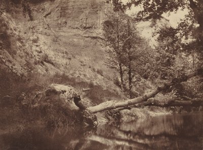 Brzeg rzeki, ok. 1855 (zdjęcie) autorstwa Frank Chauvassaigne