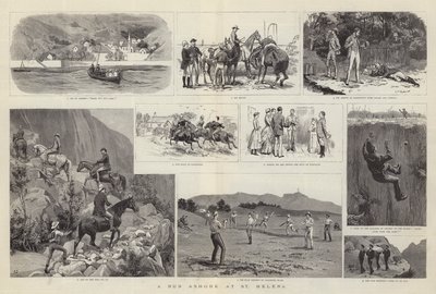 Wybieg na brzeg w St Helena autorstwa Frank Dadd