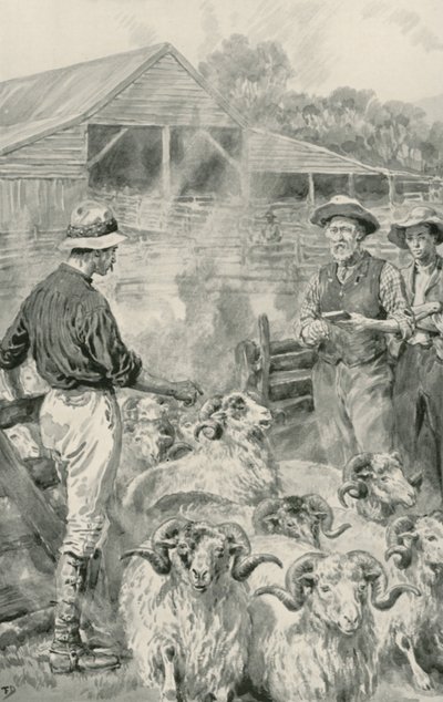Stacja dla owiec na równinach Canterbury autorstwa Frank Dadd