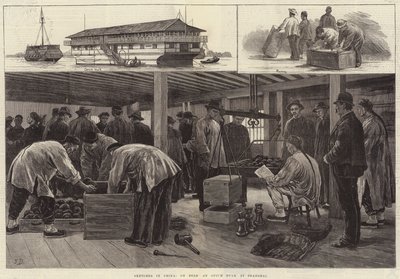 Szkice w Chinach na pokładzie opiumowego hulka w Szanghaju autorstwa Frank Dadd
