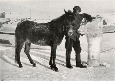 Gran z Mule Lal Khan, c1911, 1913 autorstwa Frank Debenham