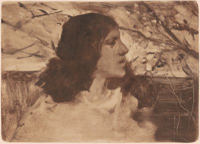 Głowa kobiety autorstwa Frank Duveneck