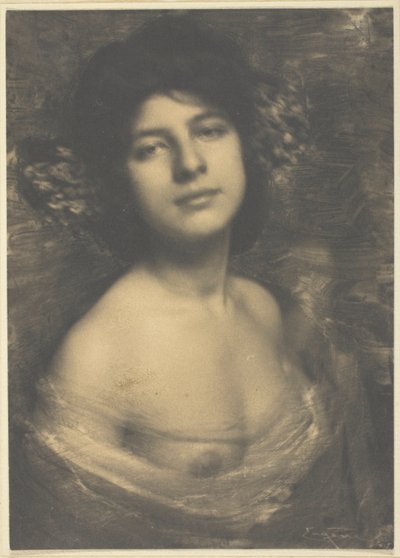 Hortensja autorstwa Frank Eugene