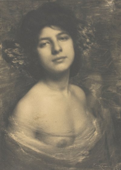 Hortensja, 1898. autorstwa Frank Eugene