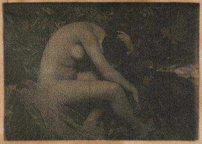 Cykada autorstwa Frank Eugene