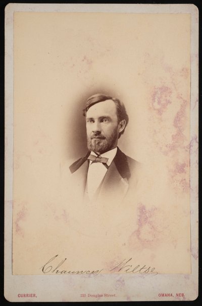 Portret Chauncey Wiltse 1834-1894, 1875-1876. autorstwa Frank F Currier