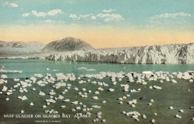 Lodowiec Muir, Glacier Bay, Alaska, USA (kolorowe zdjęcie) autorstwa Frank H. Nowell