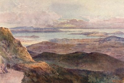 Nowa Zelandia: Coromandel (kolorowa litografia) autorstwa Frank H Wright