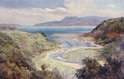 Nowa Zelandia: Jezioro i Góra Tarawera (kolorowa litografia) autorstwa Frank H Wright