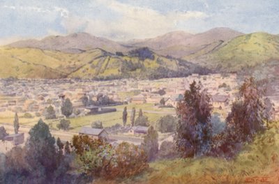 Nowa Zelandia: Nelson (druk kolorowy) autorstwa Frank H Wright