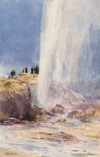 Nowa Zelandia: Gejzer Wairoa (kolorowa litografia) autorstwa Frank H Wright