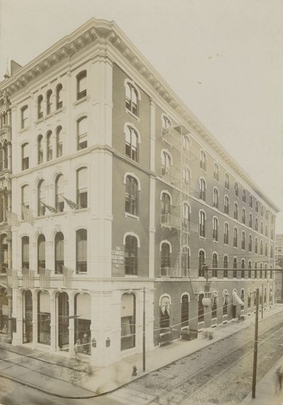 SS White Building (druk albumowy) autorstwa Frank Hamilton Taylor